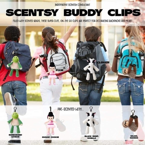 Scentsy products - Picture 10 of 16